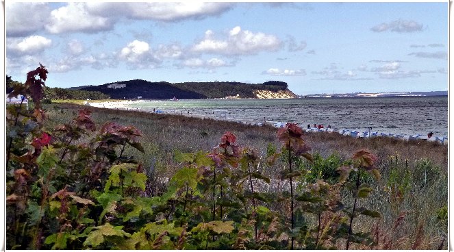 binz_19_0261.jpg