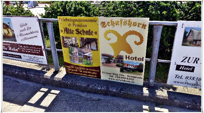 binz_19_0436.jpg