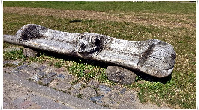 binz_19_0576.jpg