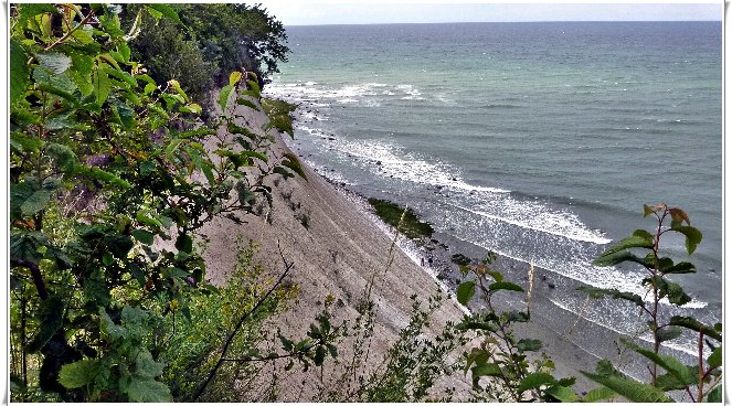 binz_19_0646.jpg