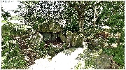 binz_19_0061.jpg