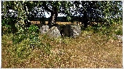 binz_19_0106.jpg