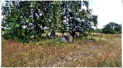 binz_19_0116.jpg