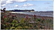 binz_19_0261.jpg