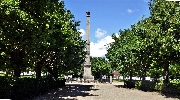 binz_19_0301.jpg
