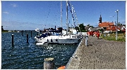binz_19_0401.jpg