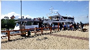 binz_19_0431.jpg