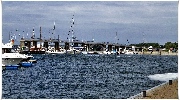 binz_19_0471.jpg