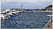binz_19_0481.jpg