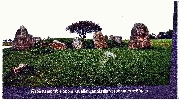 binz_19_0506.jpg