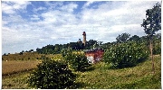 binz_19_0561.jpg