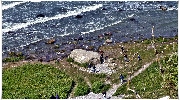 binz_19_0611.jpg