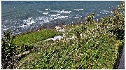 binz_19_0621.jpg