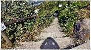binz_19_0626.jpg