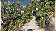 binz_19_0631.jpg