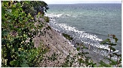 binz_19_0646.jpg