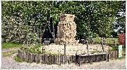 binz_19_0671.jpg