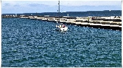 binz_19_0946.jpg