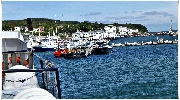binz_19_0951.jpg