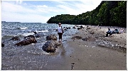 binz_19_1161_mo.jpg
