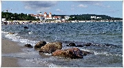 binz_19_1181.jpg