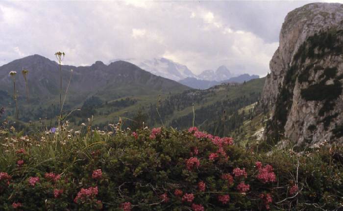 dolomiten_86_116.jpg