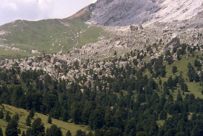 dolomiten_86_221.jpg