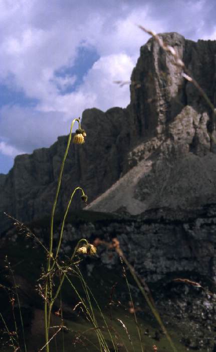 dolomiten_86_236.jpg