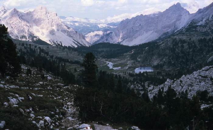 dolomiten_86_331.jpg