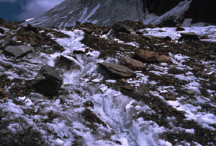 pitztal_86_041.jpg