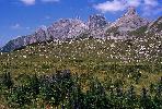 dolomiten_86_396.jpg