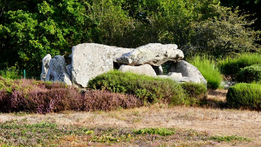 Frankreich_18_c_03091.JPG