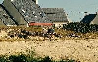 gr_Bretagne_74_0003.jpg