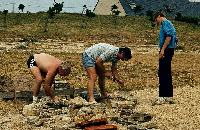 gr_Bretagne_74_0009.jpg
