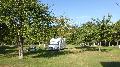 mo_19_156.jpg