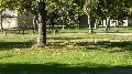 mo_19_166.jpg