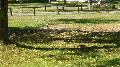 mo_19_171.jpg