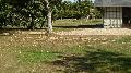 mo_19_176.jpg