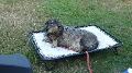 mo_19_226.jpg