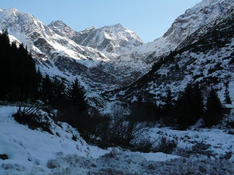 pitz_09_00121.jpg