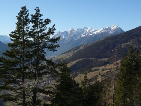pitz_09_00161.jpg