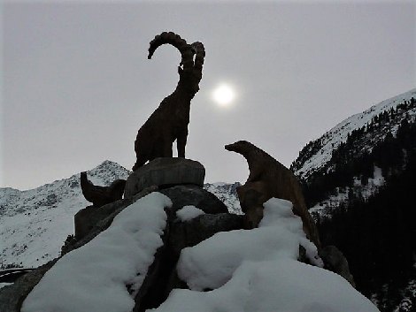 pitz_09_00241.jpg