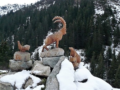 pitz_09_00246.jpg