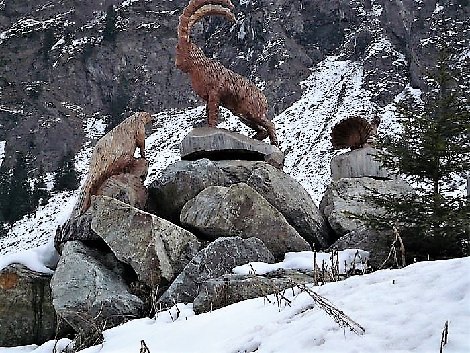 pitz_09_00591.jpg