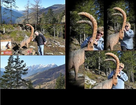 pitz_09_0156.jpg