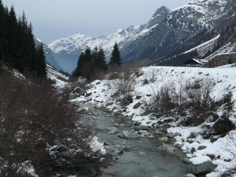 pitz_09_0246.jpg
