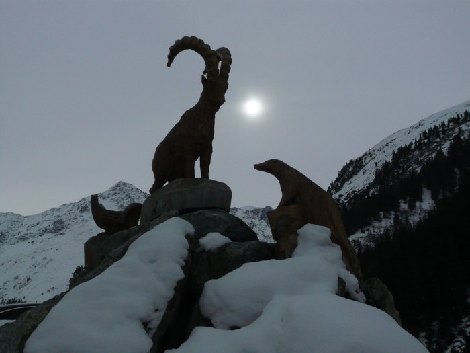 pitz_09_0251.jpg
