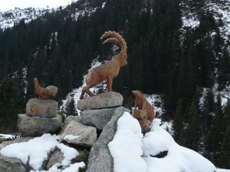 pitz_09_0256.jpg