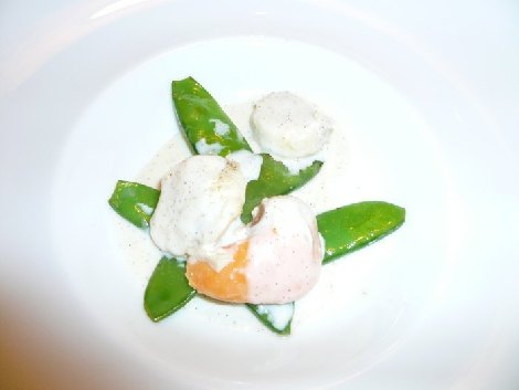 pitz_09_0801.jpg