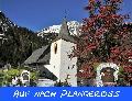 pitz_09_00006.jpg